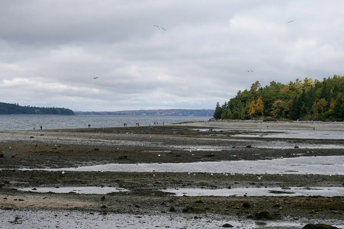 Bar Island Sandbar