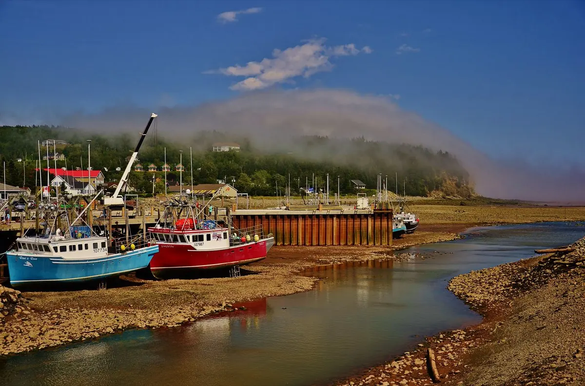 Bay of Fundy Coastline