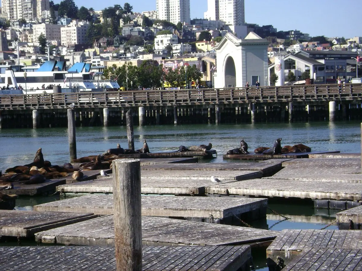 Fisherman's Wharf & Pier 39
