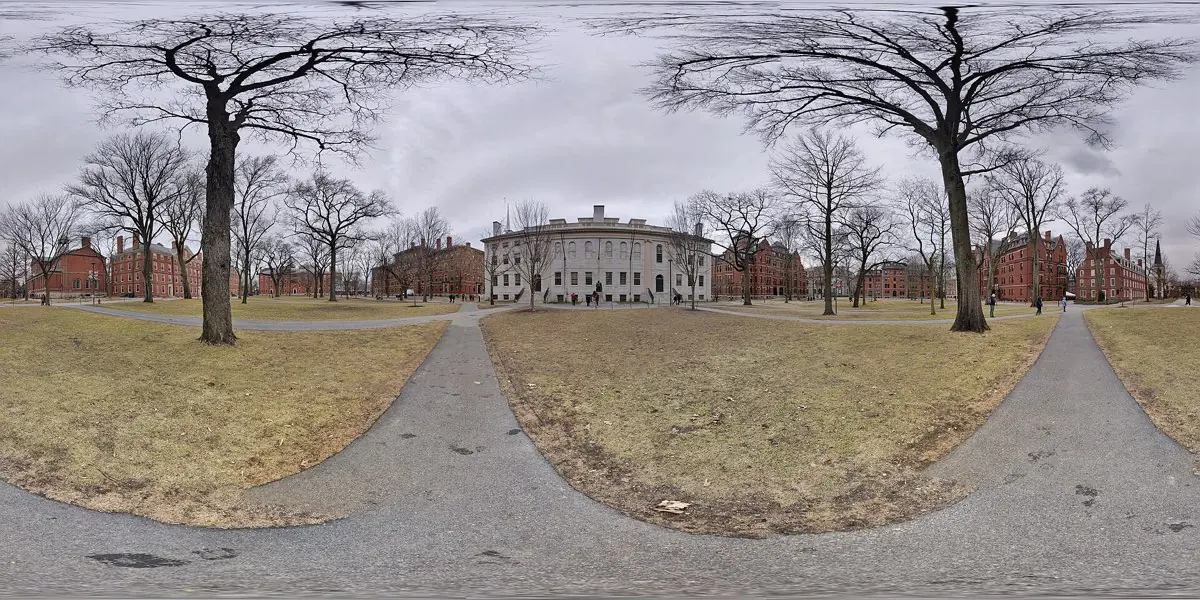 Harvard University