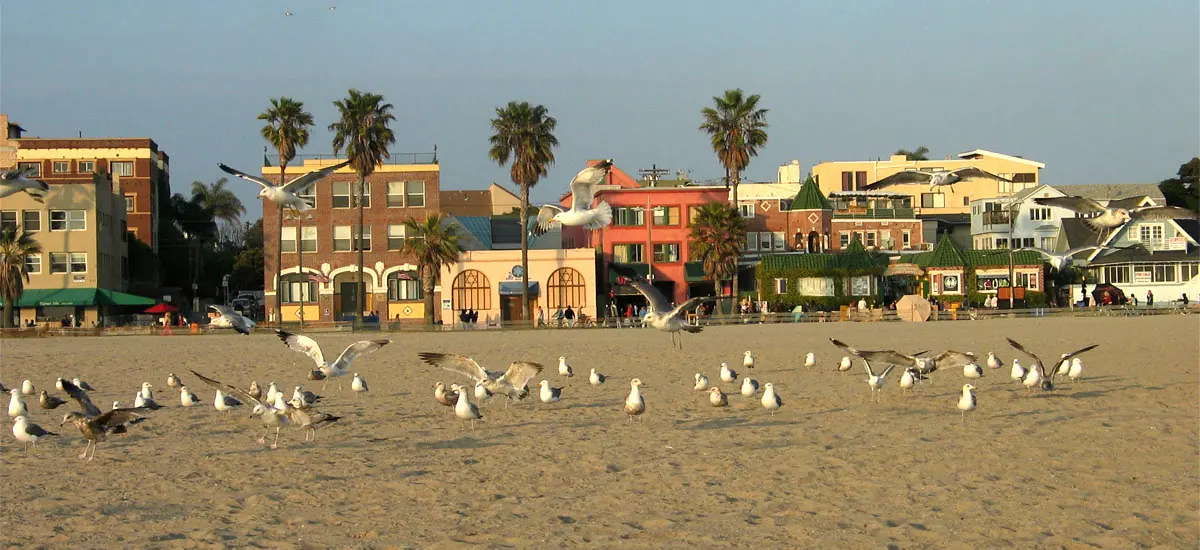 Venice Beach Boardwalk