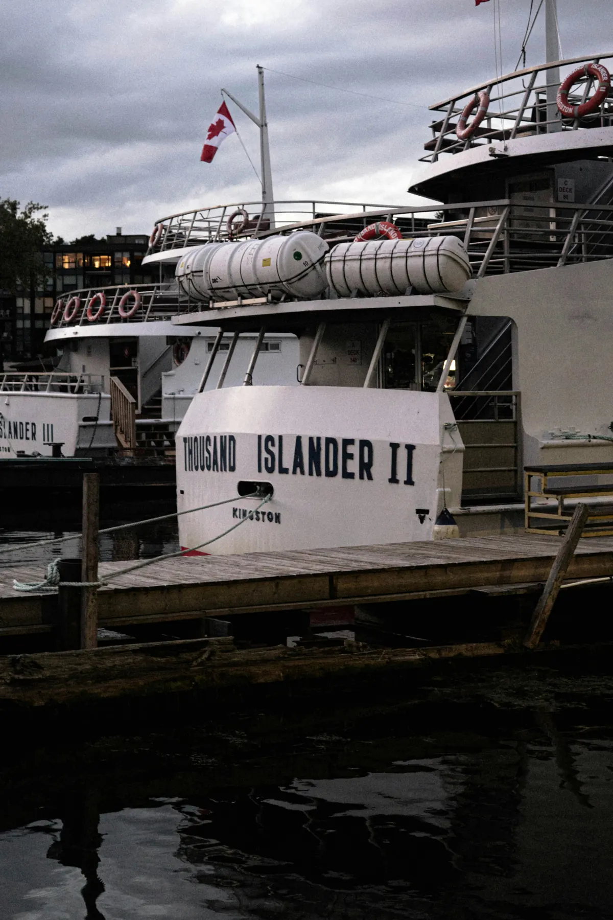 1000 Islands Private Day Tour with Islands Cruise — photo 4