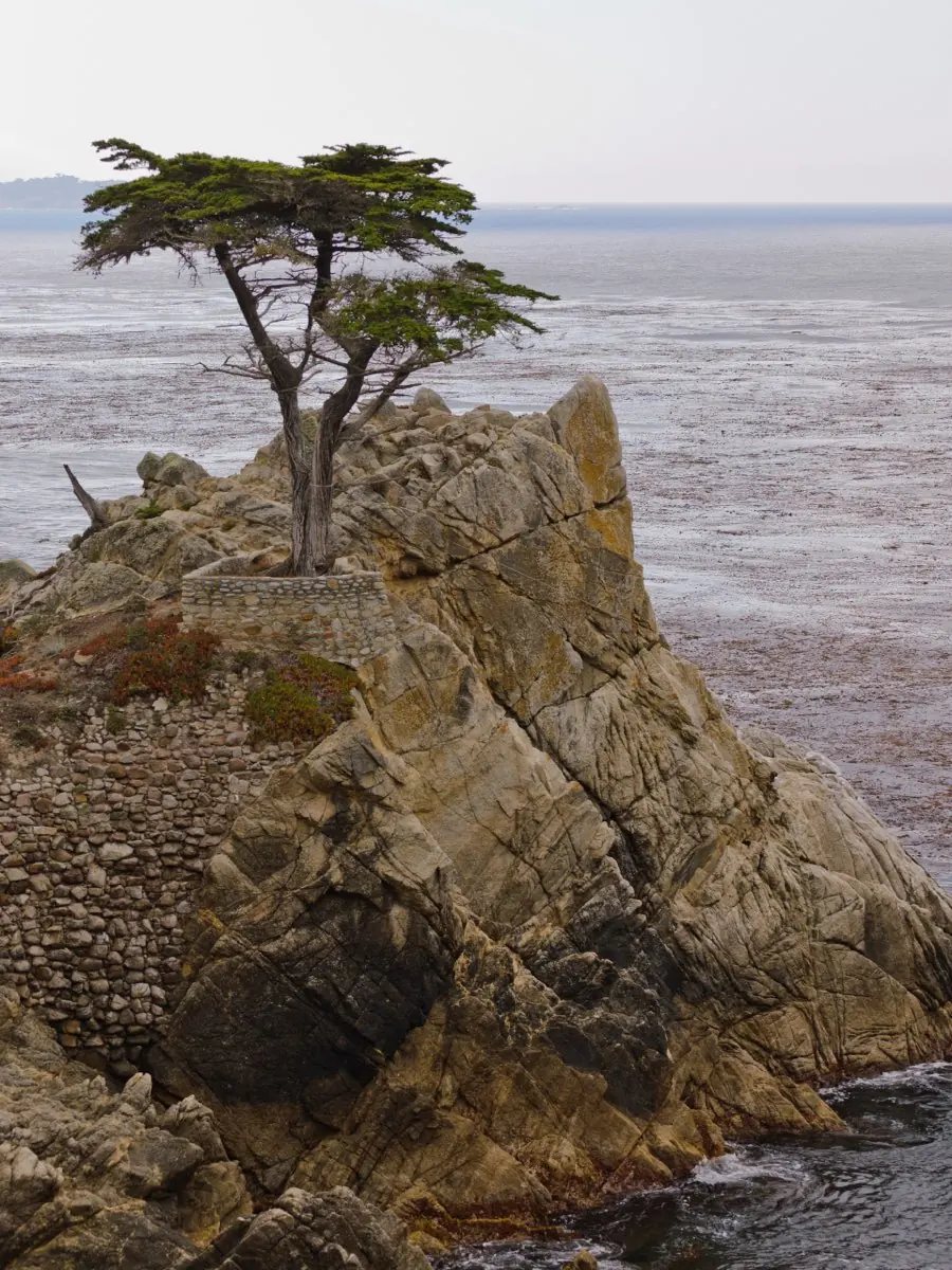 Big Sur, Carmel & Monterey Coastal Tour — photo 2