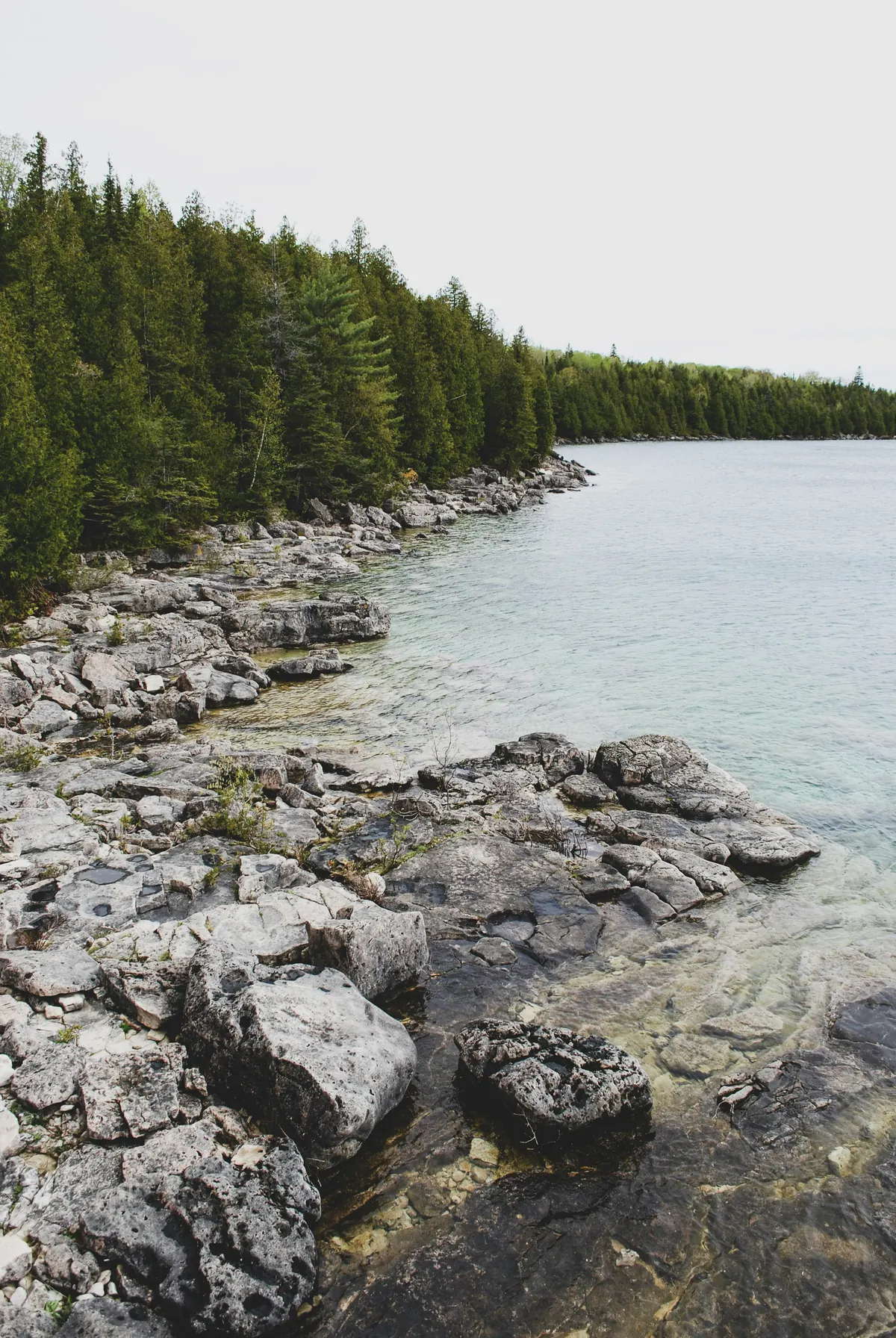 Blue Mountain & Georgian Bay Private Tour — photo 3