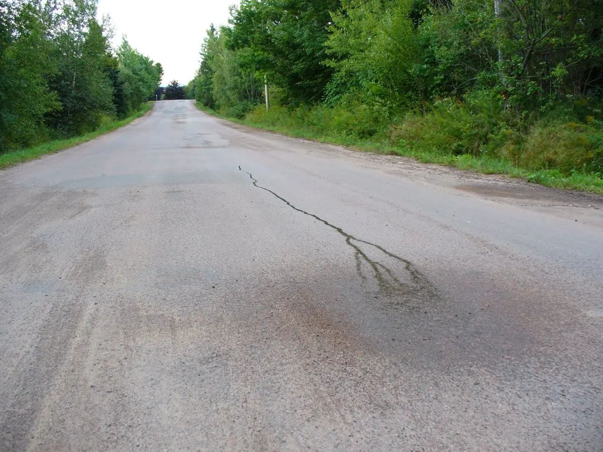 Moncton Private Tour — photo 1