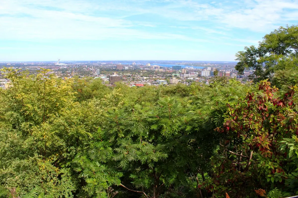 Montreal City Private Tour — photo 1