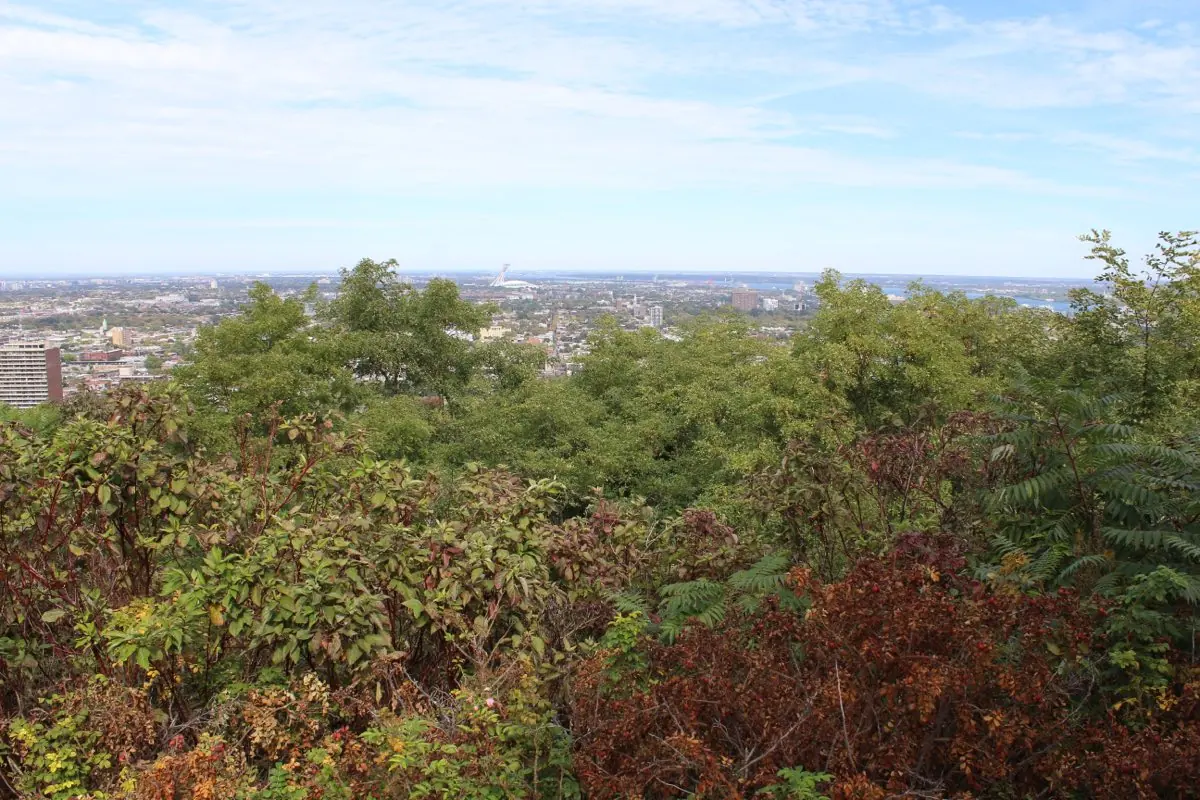 Montreal City Private Tour — photo 3