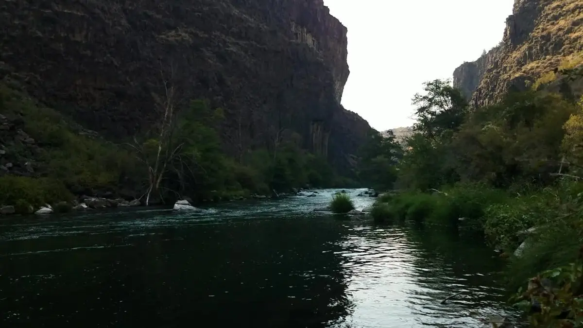 Rainbow Springs Kayak & Snorkel Adventure — photo 1