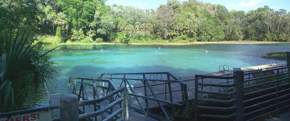 Rainbow Springs Kayak & Snorkel Adventure — photo 2