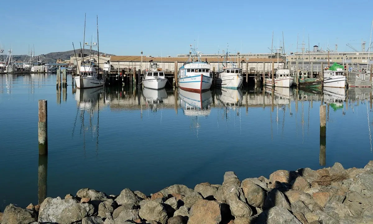 San Francisco Private City Tour — photo 2
