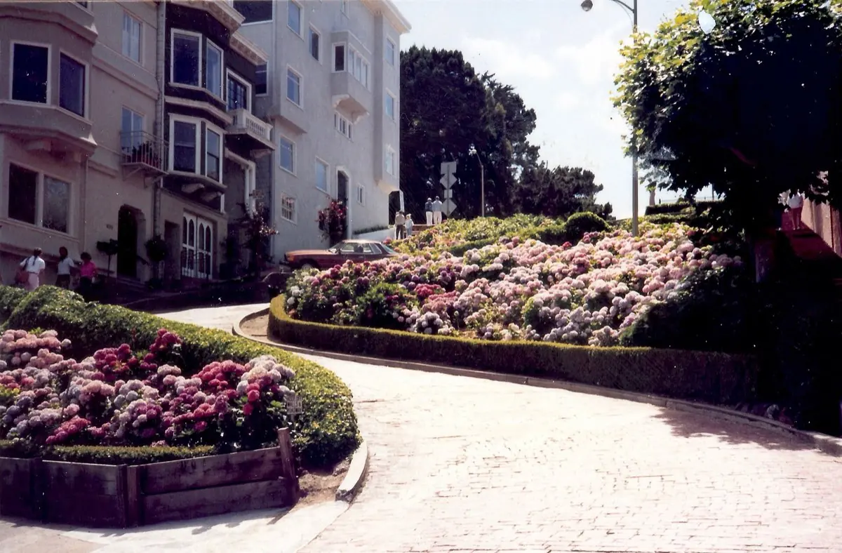San Francisco Private City Tour — photo 3