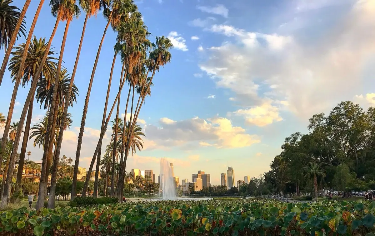Los Angeles skyline with palm trees in the foreground